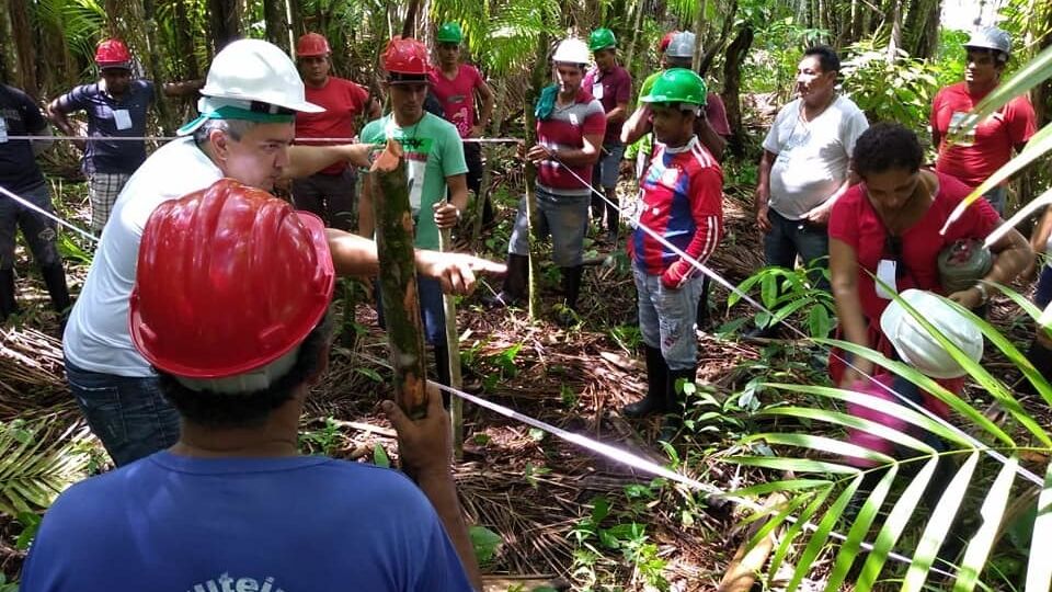 IFT  Moradores das Resex do Marajó participam de oficinas sobre Manejo de  Açaizal